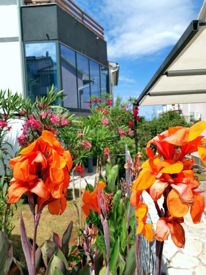 Apartmani Andrea Пула Екстериор снимка